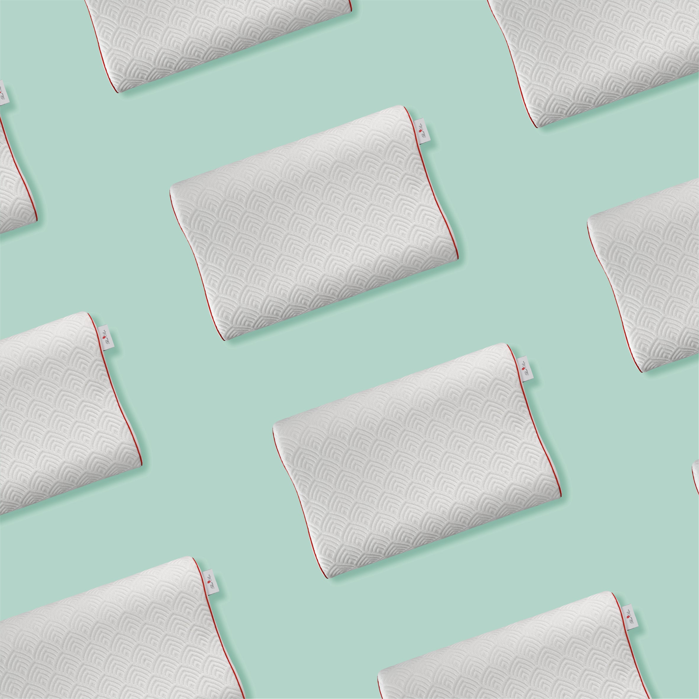 Best Sleep ErgoFlex Memory Pillow, anatomical, removable cover