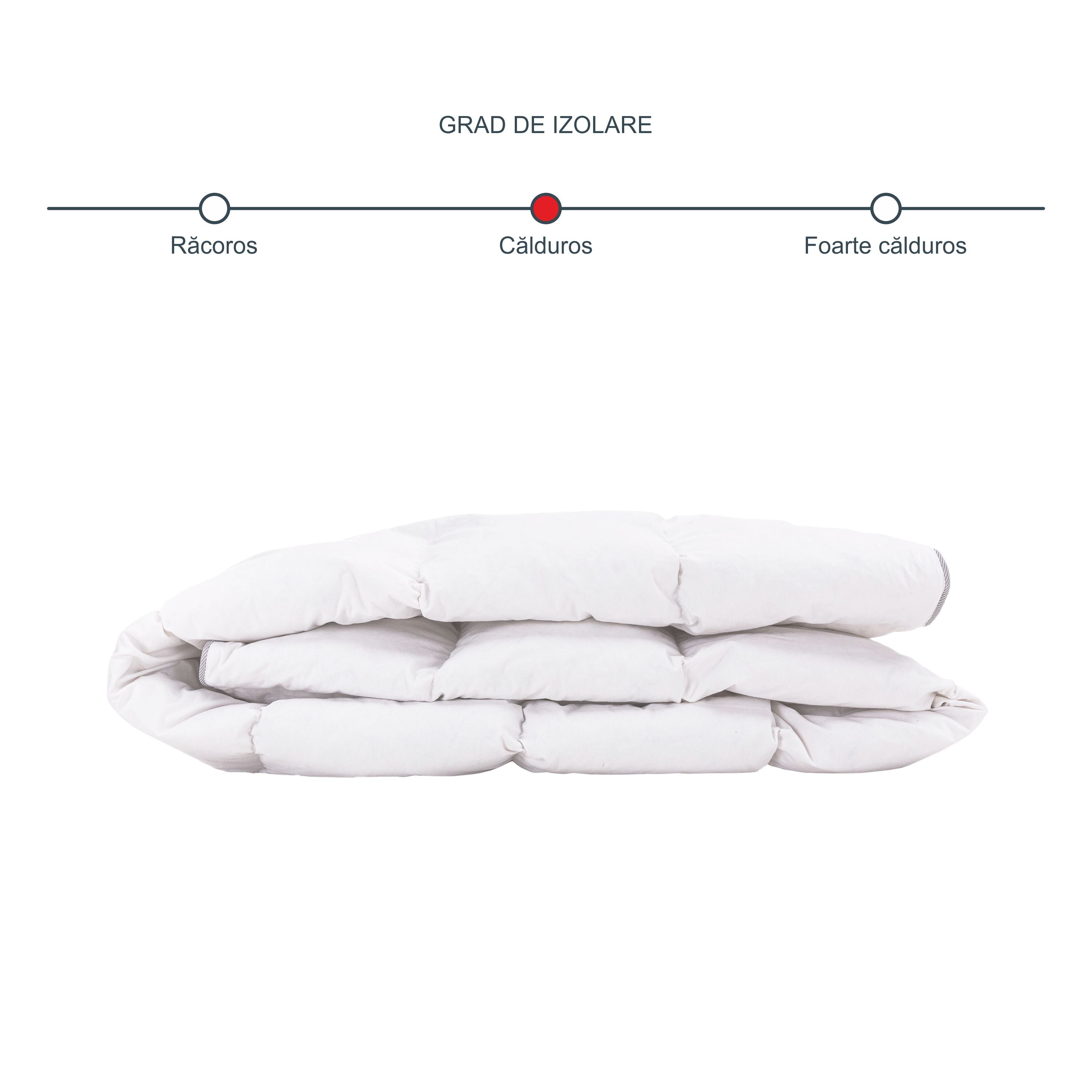 Set Best Sleep Pilota + 2 Perne 50x70 cm cu Pene si Puf de Gasca