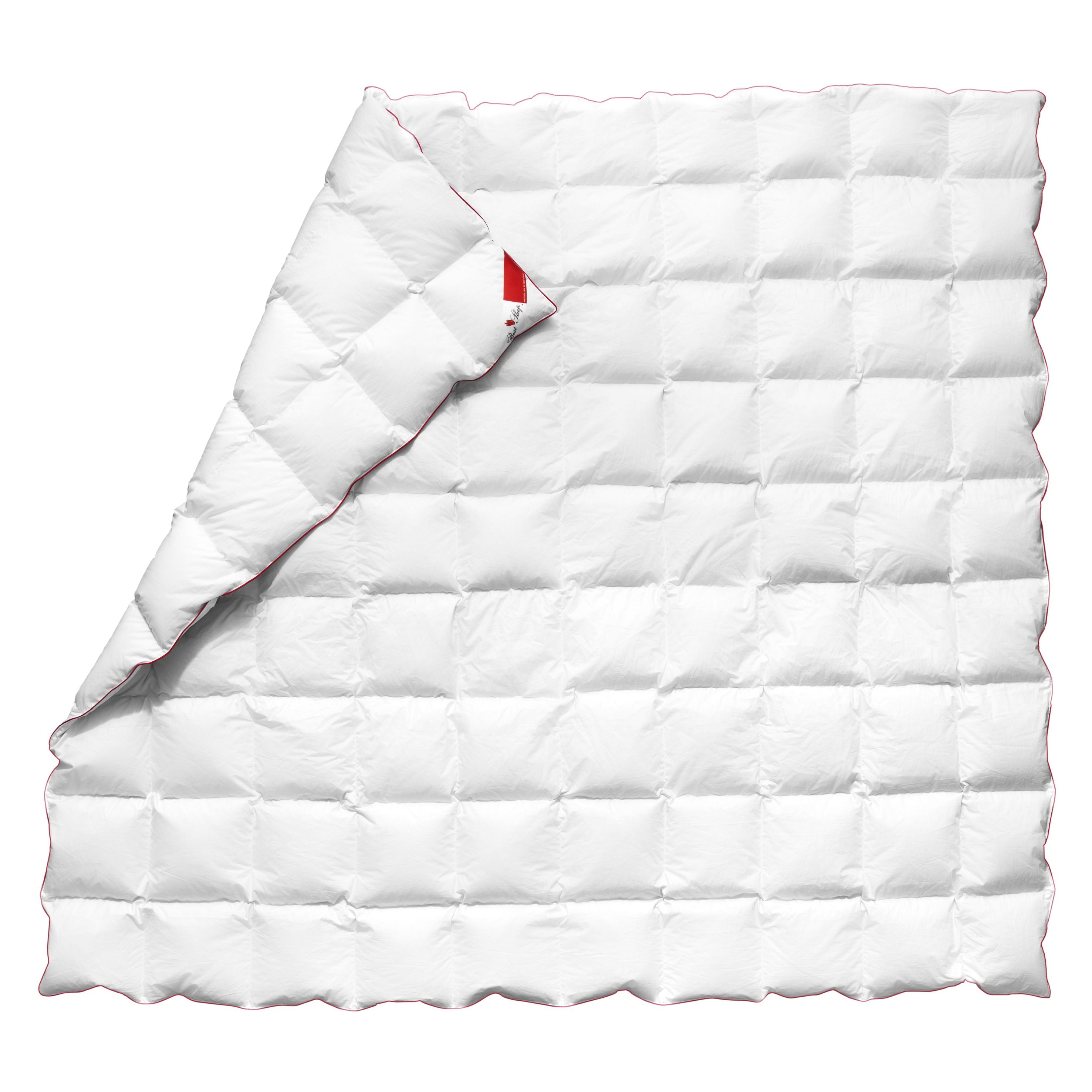 Set Best Sleep Pilota + 2 Perne 50x70 cm cu Puf de Gasca